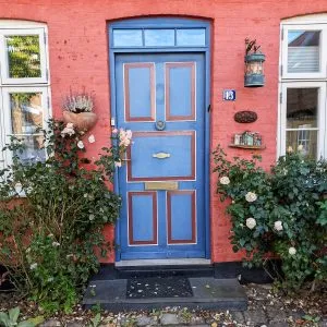 Bright royal blue paneled door (House No. 13) with red border trim, set in a pinkish-red facade flanked by blooming white climbing rose bushes and cobblestones in Ribe.